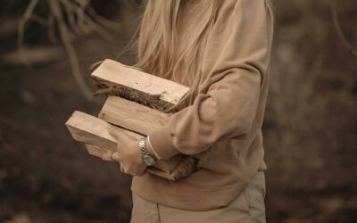 Le bois, l’énergie la plus économique