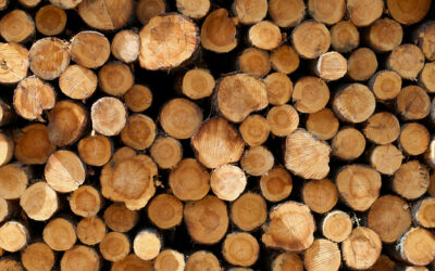 Bois de chauffage : les prix de printemps sont arrivés